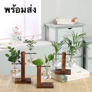 พร้อมส่ง［HOME LIFE SHOP］แจกันแก้วไฮโดรโปนิคคอนเทนเนอร์ดอกไม้ใส