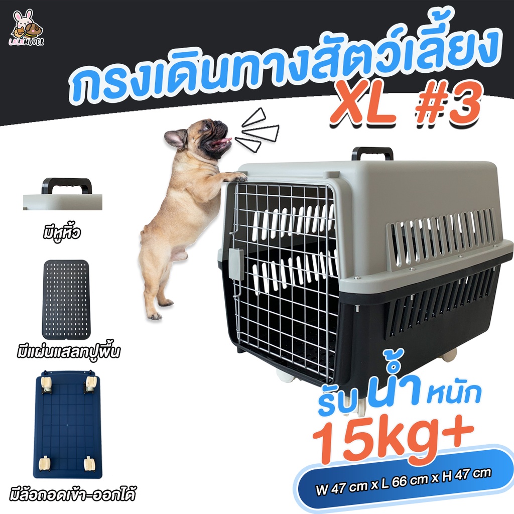 กล่องเดินทางสัตว์เลี้ยง XL #3 มีล้อและหูหิ้ว ขนาด กว้าง 47cm x ยาว 66cm x สูง 47cm (หมา3)