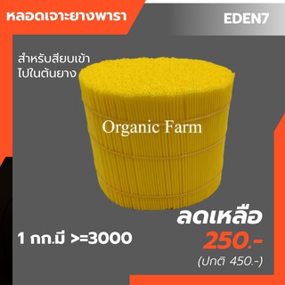 หลอดลำเลียงน้ำยาง เสียบเข้าในรูเปลือกยาง สำหรับวิธีเจาะยางพารา เส้นผ่าศูนย์กลาง2mm ยาว13cm.สีเหลืองอุปกรณ์เจาะยางพารา