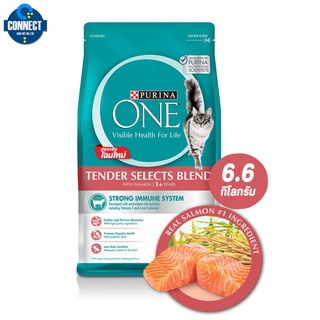 Purina ONE Adult Salmon and Tuna เพียวริน่าวันแมวโต สูตรปลาแซลมอนและปลาทูน่า(6.6 กิโลกรัม/กระสอบ) แพ็คเกจใหม่ !!