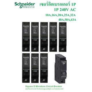 Schneider เซอร์กิตเบรกเกอร์ 1P 240V AC