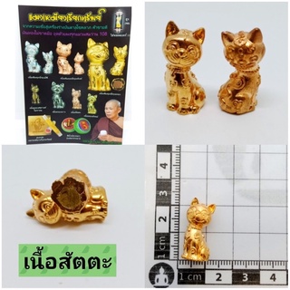 แมวเหมียวเรียกทรัพย์ เนื้อสัตตะหลวงตารวม วัดโคกสำราญ จ.เพชรบูรณ์