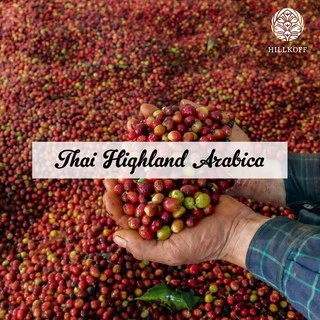 Hillkoff : เมล็ดกาแฟคั่ว อาราบิก้า คั่วเข้ม ฮิลล์คอฟฟ์ (French) Arabica 100% ขนาด 500 g 4 ถุง อราบิก้า เมล็ดกาแฟ