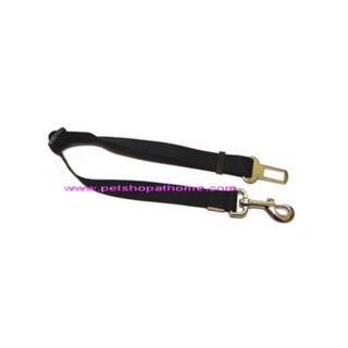 เข็มขัดนิรภัย Seat Belt Clip Tether