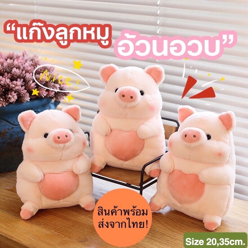 ตุ๊กตาหมูอ้วนอวบ จ้ำม่ำ น่ารัก น่าหยิก  Moo-Moo  Size 20,35 cm. So Cute