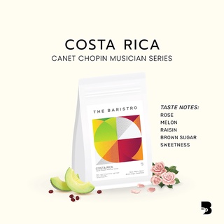 เมล็ดกาแฟ คั่วอ่อน - Costa Rica Canet Chopin Musician Series