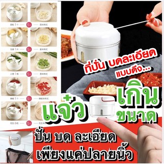 เครื่องปั่นจิ๋ว บด สับ ละเอียด mini food chopper