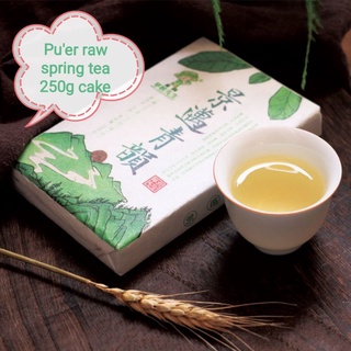 Yunnan Jingmai Puer square brick tea Puer raw tea 250g spring ecological tea
