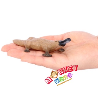 Monkey Toys - โมเดลสัตว์ ตุ่นปากเป็ด ขนาด 11.00 CM (จากหาดใหญ่)