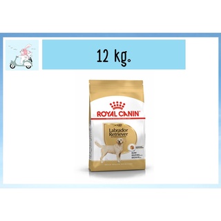 ROYAL CANIN Labrador สุนัขพันธุ์ลาบราดอร์ รีทรีฟเวอร์1-6ปี ขนาด 12 กิโลกรัม