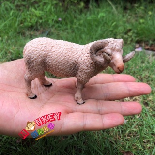 Monkey Toys - โมเดลสัตว์ แกะ ขนาด 9.00 CM (จากหาดใหญ่)