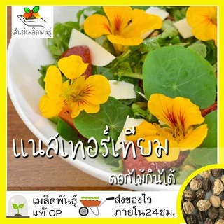 เมล็ดพันธุ์ ชุดดอกไม้กินได้ สายพันธุ์แท้ ปลูกต่อได้ พร้อมส่ง คอร์นฟลาวเวอร์/คาเลนดูล่า/ไวโอล่าสามสี/ความรักในสายหมอก