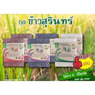 ส่งฟรี ชุดข้าวสุรินทร์ รวม 6 กก