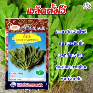 เมล็ดตั้งโอ๋ Garland Chrysanthemum เมล็ดพันธุ์ตั้งโอ๋ ตั้งโอ๋ เมล็ดพันธุ์ผัก เมล็ดผักสวนครัว ตราภูเขาทอง