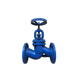 FMT 6" Globe Valve Cast Iron (PN16)