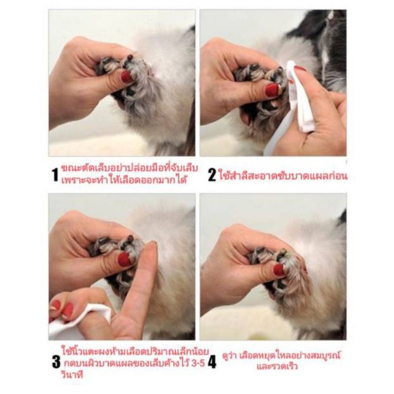 ผงห้ามเลือด Pet Styptic Powder Bioline 14g. สุนัข แมว นก หนู กระต่าย