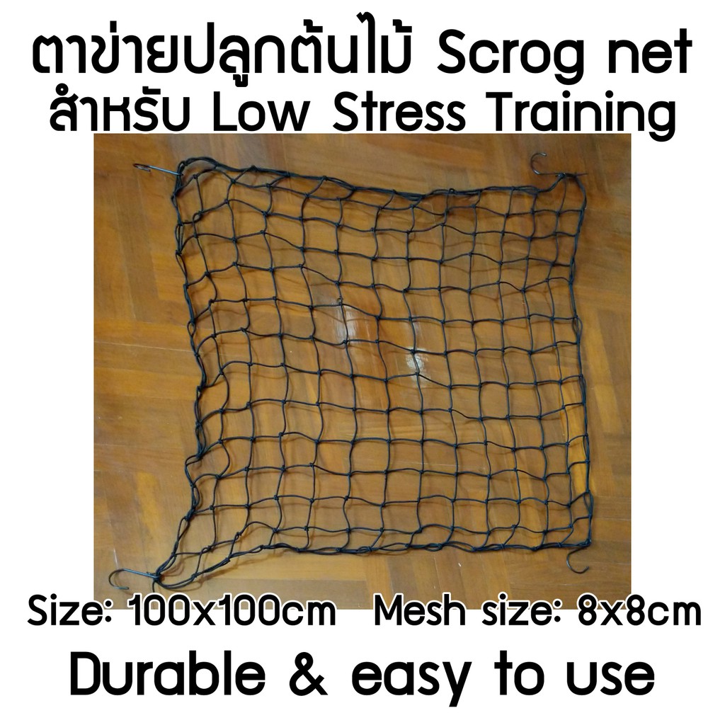 Scrog Net - Plant Stress Training - 8x8cm mesh size, in size of 70x70,  100x100, 120x120, 60x120, 150x150cm Trellis Net | Shopee Thailand