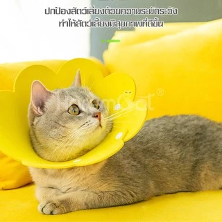 Harmcat คอลล่าดอกไม้ คอลล่ากันเลียแผล คอลล่าสัตว์เลี้ยง คอลล่า ปลอกคอกันเลียหมาแมว ปลอกคอกันเลียสุนัขและแมว