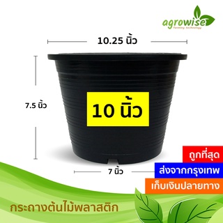 🌵 กระถางต้นไม้พลาสติก ถาดรองกระถาง กระถางต้นไม้ กระถาง สีดำ สีขาว 10 นิ้ว 11 นิ้ว ราคาส่ง