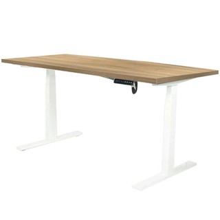 Desk STANDING DESK ERGOTREND SIT 2 STAND GEN2 150CM VINTAGE OAK/WHITE Office furniture Home &amp; Furniture โต๊ะทำงาน โต๊ะทำ