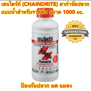 เชนไดร้ท์ (CHAINDRITE) ยากำจัดปลวก สเตดฟาส 30SC แบบน้ำสำหรับราดพื้น ขนาด 1000 cc