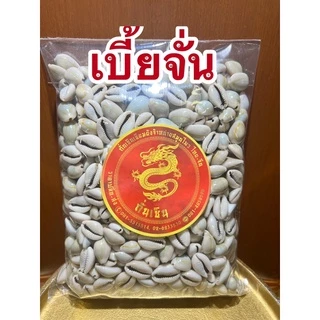หอยเบี้ย เบี้ยจั่น เบี้ยจั่นหอยเบี้ยคละไซส์ขายยกถุงราคาไม่แพงมีทั้งสีธรรมดาและสีเหลืองนวลเงา