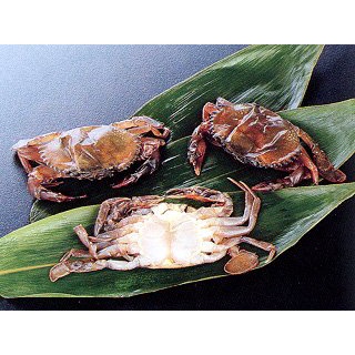 ปูนิ่ม ไซส์ใหญ่ 1KG/PC (NW60%) SOFT SHELL CRAB