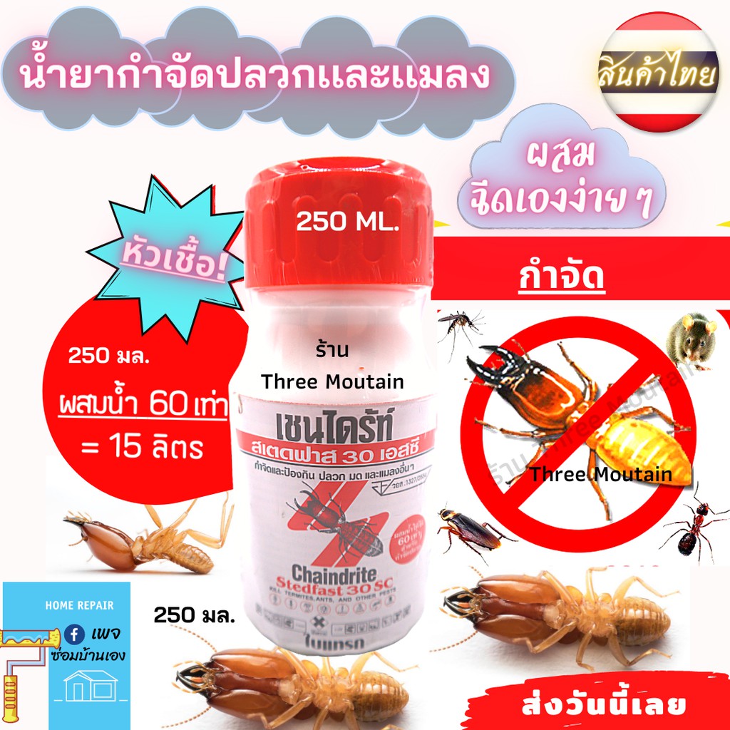 เชนไดร้ท์ Chaindrite น้ำยากำจัดปลวก น้ำยาฆ่าปลวก มอด มด แมลงสาบ เชนไดรท์  สเตดฟาส 30 Sc สูตรผสมน้ำ | Shopee Thailand