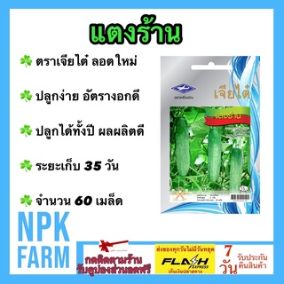 ผักซอง เจียไต๋ แตงร้าน จำนวน 60 เมล็ด เมล็ดพันธุ์ ลอตใหม่ งอกดี ปลูกง่าย โตไว ผลผลิตสูง ปลูกได้ทั้งปี ระยะเก็บ 35 วัน