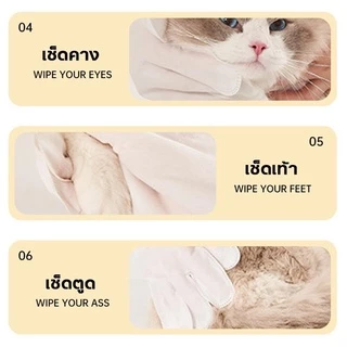 SKISOPGO ถุงมือสัตว์เลี้ยงแบบใช้แล้วทิ้ง 6pcs ดับกลิ่น ดูแลผิวสุนัขและแมว ถุงมือทำความสะอาดระงับกลิ่นกายสำหรับแมว