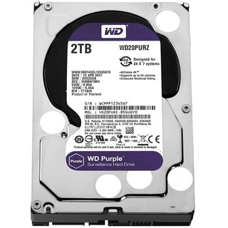 พร้อมส่ง💥แท้100%(WD20PURZ)WD Purple 3.5 Harddisk For Cctv - Wd20purz / 2TB HDD (ฮาร์ดดิสก์) WD BLUE (WD20EZAZ) By Synnex