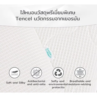SNOW OWL หมอนเด็กพร้อมปลอกใยไผ่ 100% ขนาด แรกเกิด+ หมอนระบายอากาศในตัว นอนแล้วเหงื่อแห้งไว ไม่ร้อน Baby Pillow