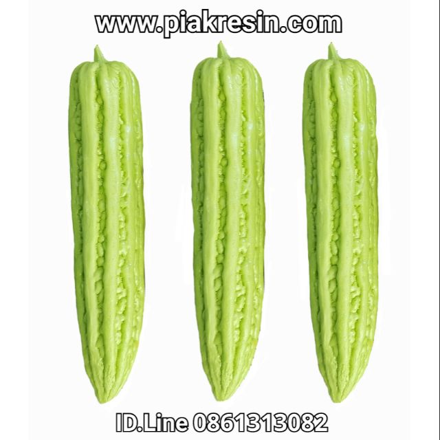 โมเดล มะระปลอม เนื้อเรซิ่น ลูกละ 320 บาท ขนาด กว้าง 6 ยาว 29.5 cm