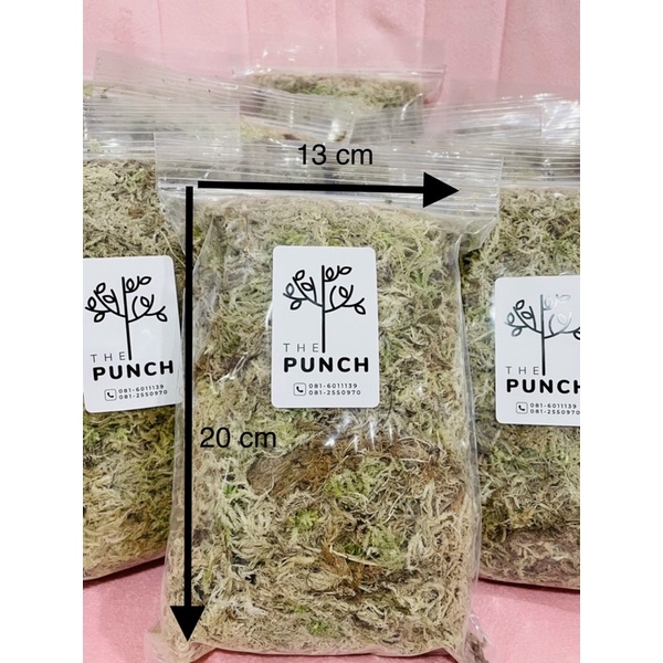 สแฟกนั่มมอสสด Fresh Sphagnum moss 80 กรัม