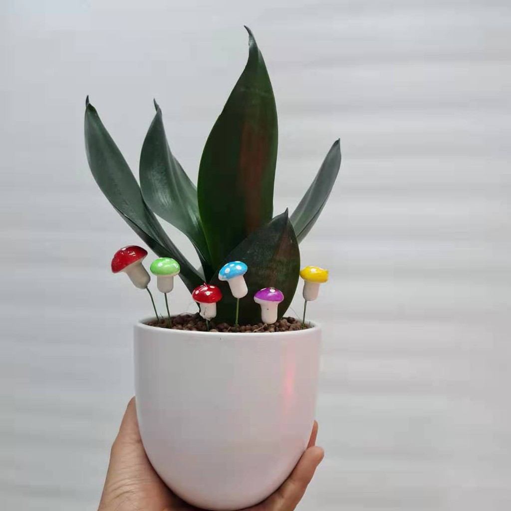 ตุ๊กตาแต่งสวนถาด เห็ดแต่งสวนถาด เห็ดโฟมจิ๋ว น่ารัก เพิ่มสีสันให้สวน ราคา ถูกที่สุด ดีลบีเคเค แกลเลอรีภาพที่ 4