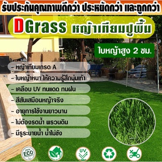 หญ้าเทียม ปูพื้น Dgrass ตกแต่งสวน สีเขียวล้วน ความสูง 2 ซม. รุ่น DG-2-PARADIAM (2P เขียวล้วน)