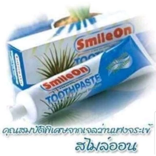 ยาสีฟัน ดูแลช่องปาก ยาสีฟันสไมล์ออน สกัดจากว่านหางจระเข้ ยาสีฟัน Smile On 250g, ไบโอเฮอเบิล, Bamboo,เดนเต้160 g