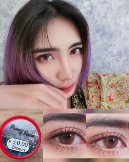 Prince of persia Brown แบรนด์ Pitchylena คอนแทคเลนส์ สายฝอ สีน้ำตาล Contact Lens แฟชั่น Bigeyes