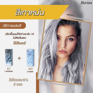 เบอริน่า เซตสี A21 (2หลอด) + A1 สีเทาหม่น สีผม สีย้อมผม ครีมย้อมผม ครีมเปลี่ยนสีผม ยาย้อมผม Berina A21(2) + A1