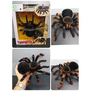 แมงมุมทารันทูล่า (Tarantulas) บังคับด้วยรีโมท เคลื่อนที่ได้เหมือนจริงเดินหน้าถอยหลังมีไฟที่ตา