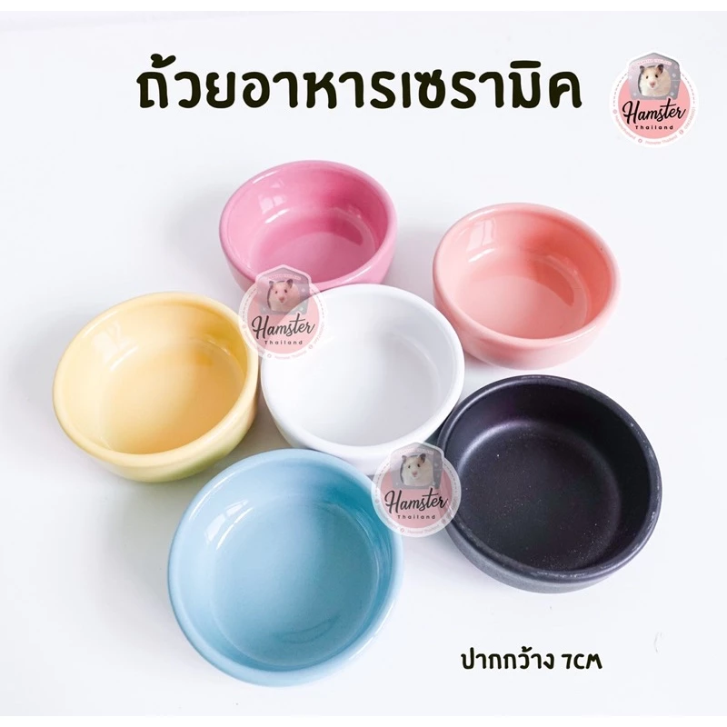 [Hamsterth] ชามอาหาร ถ้วย เซรามิค มี 6 สี สวยๆ ใส่อาหารสัตว์เลี้ยงขนาดเล็ก แฮมสเตอร์ เม่นแคระ