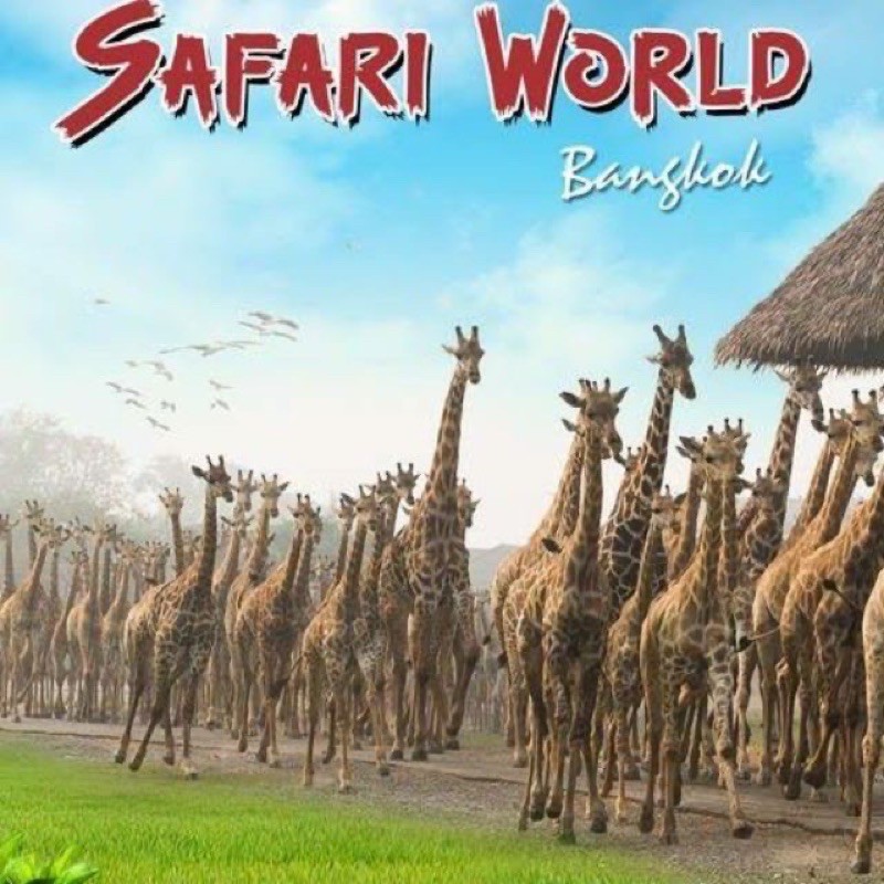 ส่งต่อ | บัตรซาฟารีเวิลด์ Safari World 2 ใบ 1200฿ 🦒🦒