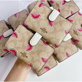 เข้าใหม่Coachลายแตงโม