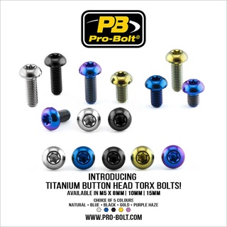 Pro-Bolt ไทเทเนี่ยม หัวกระดุม M5x8,10,15mm