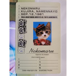 Nameneko Japanese Cat Card Rare by Satoru Tsuda 1980s ชุดที่ 13