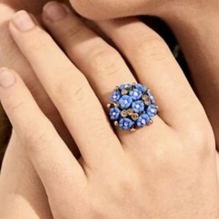 Blue Flowers Garden Ring : ✿✿ แหวนสวนดอกไม้สีฟ้า ✿✿