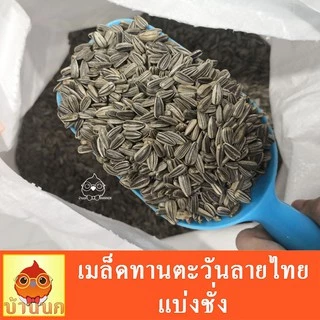 ทานตะวันลายไทย 500g / 1kg / 1.5kg อาหารนก อาหารหนู แฮมสเตอร์ hamster อาหารสัตว์ ทานตะวัน sunflower