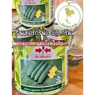 เมล็ดพันธุ์แตงกวาธันเดอร์กรีน 250 กรัม)เมล็ดแตงกวาศรแดงขายดี‼️