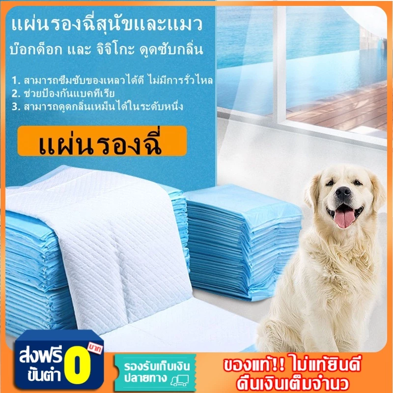 แผ่นรองฉี่สุนัข แผ่นรองฉี่ ผ้ารองฉี่สุนัข ห้องน้ำสุนัข แผ่นรองซับสัตว์เลี้ยง