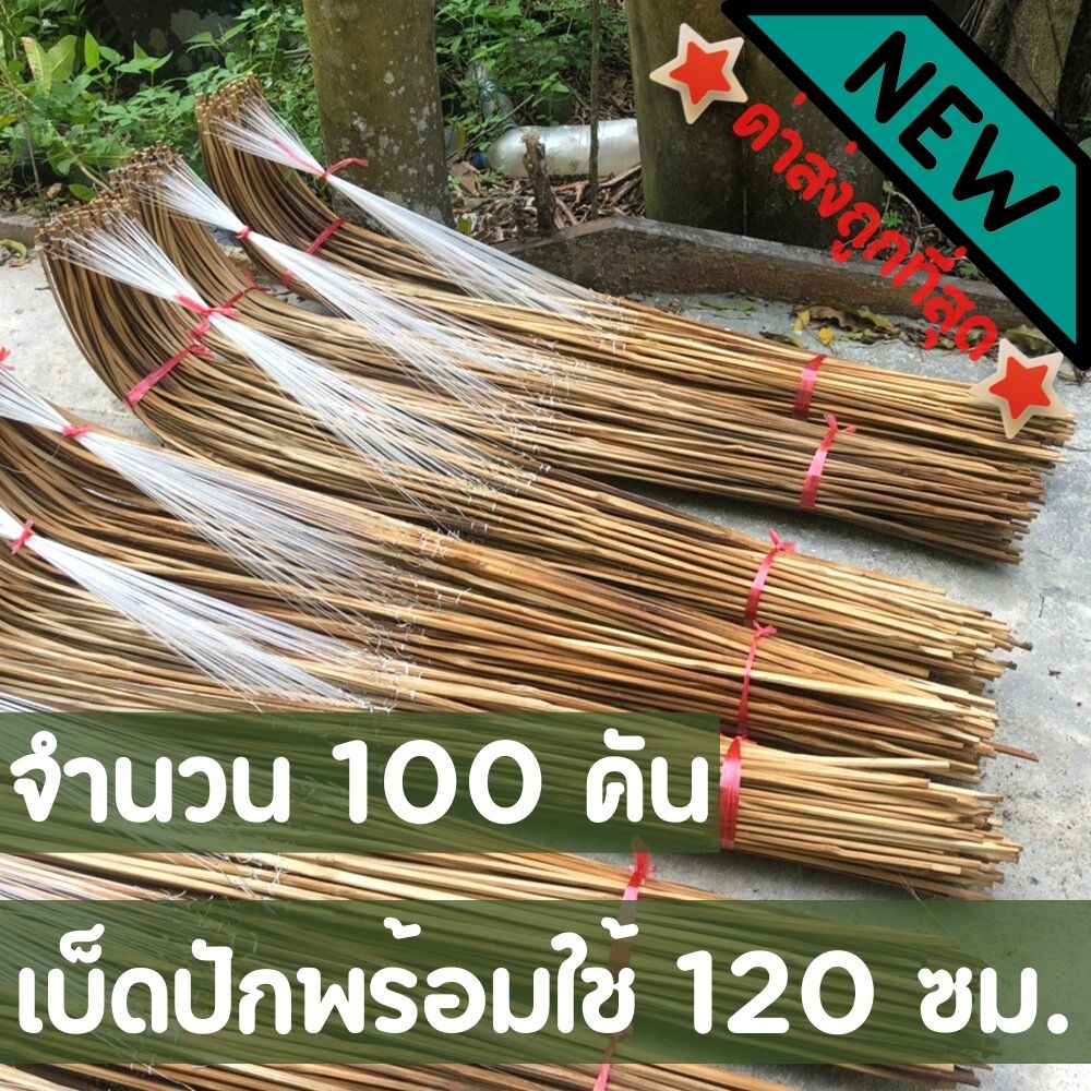 เบ็ดปัก 100 คัน เบ็ดปักปลาช่อน เบ็ดปักไม้ไผ่ ยาว 120 ซม. เบ็ดปักคันนา (เบ็ด120ซม100คัน)